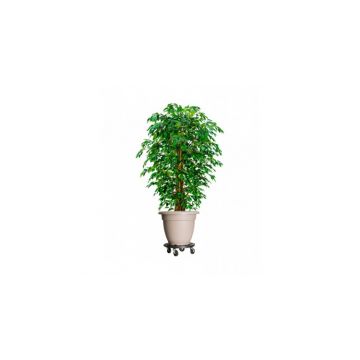 Carucior pentru plante cu roti, diametru 40 cm, negru, 275 kg