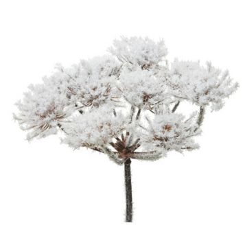 FLOARE DECORATIVĂ