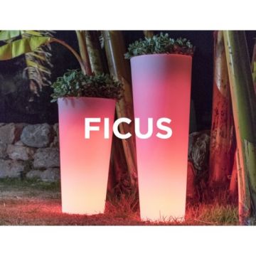 Ghiveci New Garden Ficus 60 Cu Iluminare - Alimentare Solara