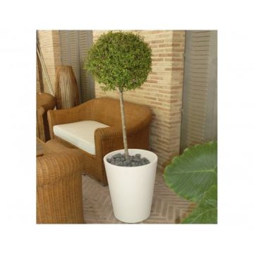 Ghiveci New Garden Gerbera 50 - Culoare Alb pal