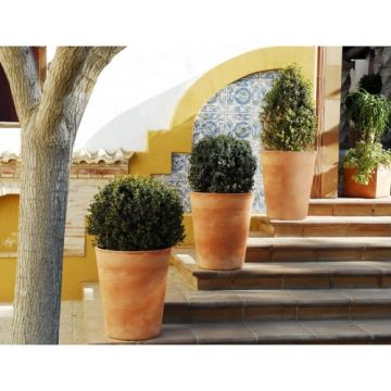 Ghiveci New Garden Gerbera 50 - Culoare Bronze