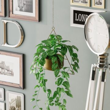 Ghiveci decorativ Harpusta Auriu 35x40x17 cm