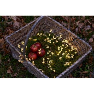 Șirag cu lumini LED Sirius Trille Green, lungime 200 cm