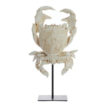 Statuetă din polirășină (înălțime 42,5 cm) Crab – Light & Living
