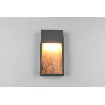 Aplica de perete pentru exterior Salmon, TRIO, 16.5x33 cm, 11W, 1x SMD, aluminiu, antracit/natur