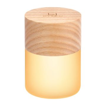 Decorațiune luminoasă în culoare naturală cu USB ø 4,5 cm Lemelia – Gingko