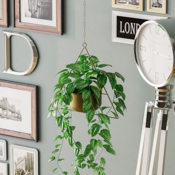 Ghiveci, Harpusta, 35x40x17 cm, Metal, Auriu