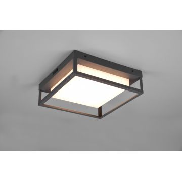 Plafoniera pentru exterior Witham, TRIO, 30x30x10 cm, 14W, 1x SMD, metal, antracit