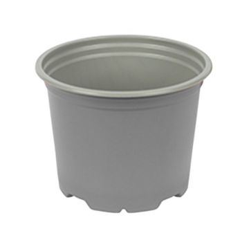 Ghivece Productie Sectiune Rotunda, 11 cm/ 540 cc, Gri, P11588