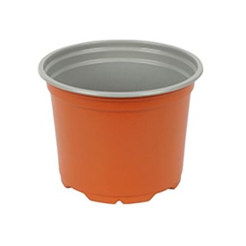 Ghivece Productie Sectiune Rotunda, 12 cm / 690 cc, P12589