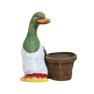 Ghiveci Model Gasca, Ceramica, Lungime 20 cm