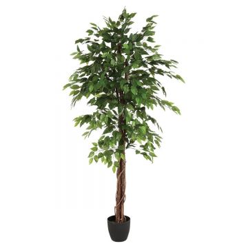 Ficus artificial Atmosphera in ghiveci decorativ, 185 cm, verde