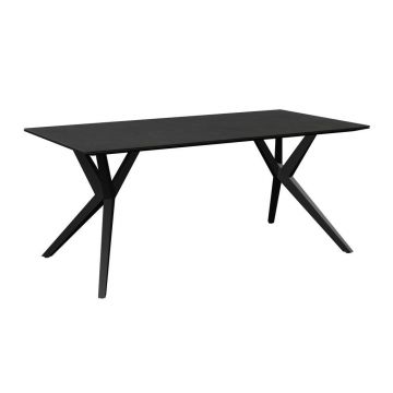 Masă Pentru Grădină 180/90/75 cm