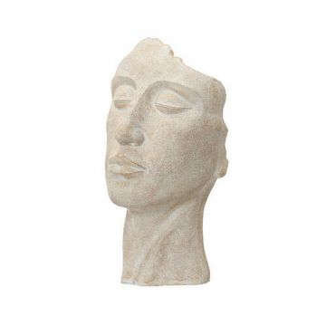 Ghiveci Pentru Plante