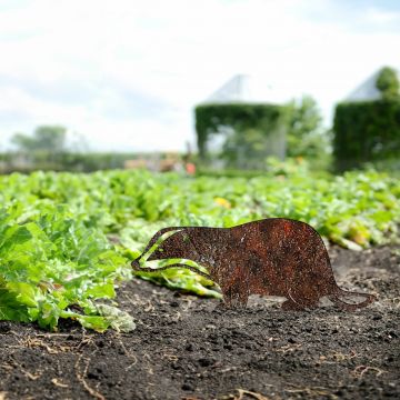 Obiect decorativ de grădină, Badger -A 01, 32x45 cm, Multicolor