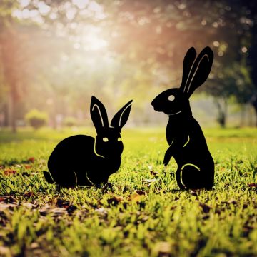 Set de obiecte decorative de grădină, RaAbbits 01, Negru