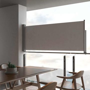 vidaXL Copertină laterală retractabilă de terasă, gri, 100 x 300 cm