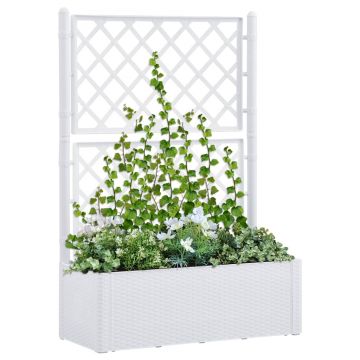 vidaXL Strat înălțat grădină cu spalier și sistem automat udare, alb