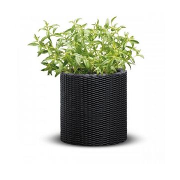 Ghiveci L CYLINDER PLANTER