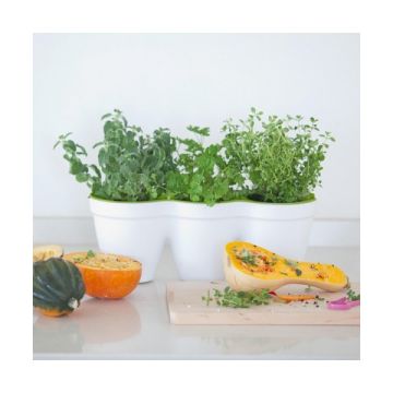 Suport 3 ghivece IVY HERBS  Alb/Verde