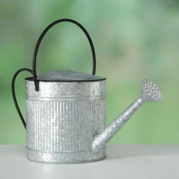 Stropitoare flori decorativa din metal Cottage Gri / Negru, L50xl21xH24 cm Stropitoare flori decorativa din metal Cottage Gri / Negru, L50xl21xH24 cm