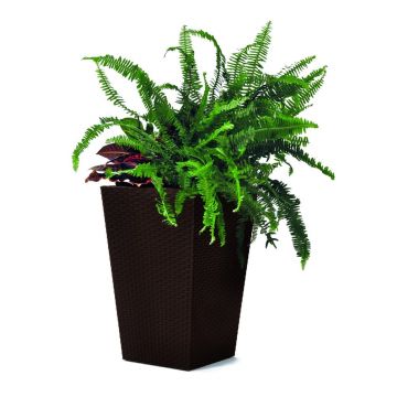 Ghiveci decorativ din plastic Rattan – Keter