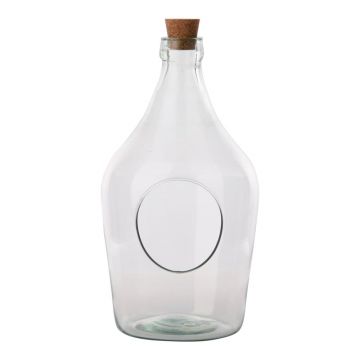 Terariu din sticlÄreciclatÄEsschert Design, 3 l