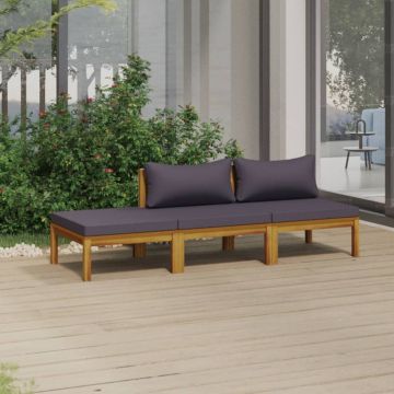 vidaXL Set mobilier de grădină cu perne, 3 piese, lemn masiv de acacia