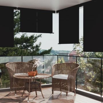 vidaXL Copertină laterală de balcon, negru, 160x250 cm