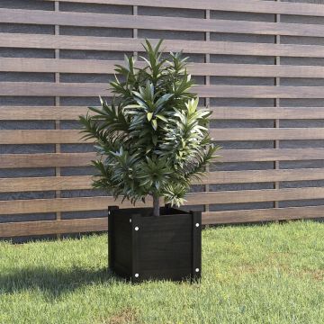 vidaXL Jardinieră de grădină, negru, 31x31x31 cm, lemn masiv de pin