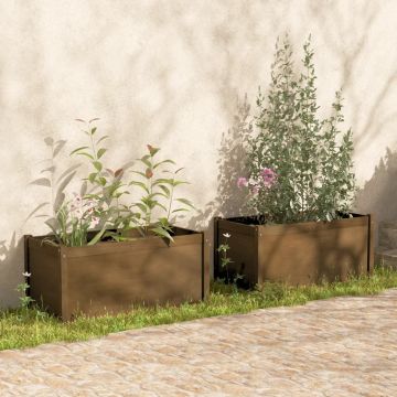 vidaXL Jardiniere grădină 2 buc maro miere 100x50x50cm lemn masiv pin