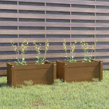 vidaXL Jardiniere grădină 2 buc. maro miere 60x31x31cm lemn masiv pin