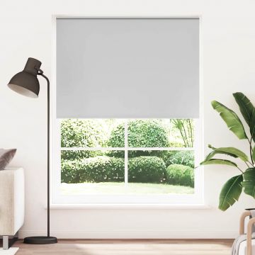 Jaluzea rulabilă opacă, 140 x 230 cm, gri