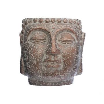 Ghiveci Cap Buddha H17,5 cm Maro