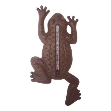 Termometru fontă de perete Esschert Design Frog