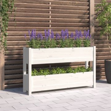 vidaXL Jardinieră, alb, 112x25x66 cm, lemn masiv de pin