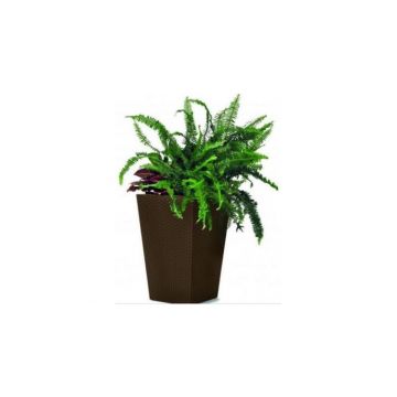 Ghiveci Small Rattan Planter 23.6l