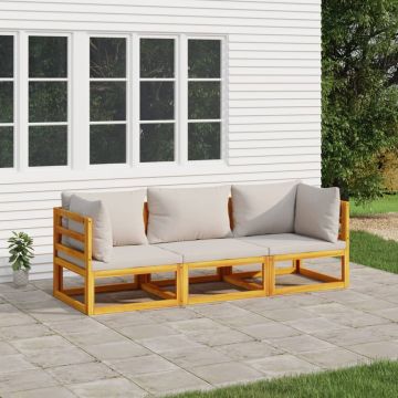 vidaXL Set mobilier grădină, perne gri deschis, 3 piese, lemn masiv