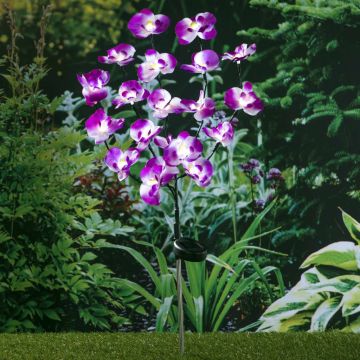 HI Lumina solara orhidee de gradina, LED, 75 cm