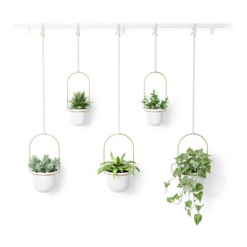 Ghivece 5 buc. din plastic pentru ierburi aromatice Triflora – Umbra