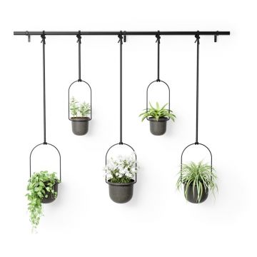 Ghivece decorative 5 buc. din plastic pentru ierburi aromatice/de agățat / de perete ø 7,5 cm Triflora – Umbra