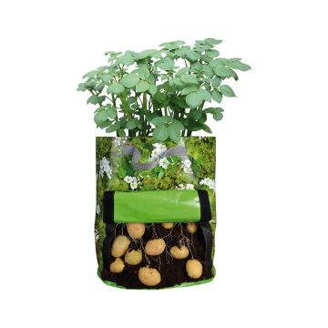 Sac pentru cultivare cartofi Esschert Design, verde