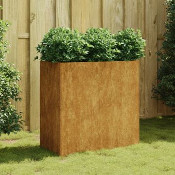 vidaXL Jardinieră, 80x40x80 cm, oțel corten