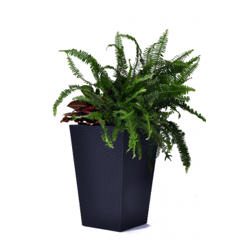 Ghiveci Keter Rattan Planter M, plastic, gri antracit, 38,5 x 38,5 x 57 cm