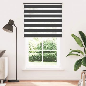 Jaluzea tip zebră, 120 x 230 cm, negru