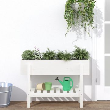 vidaXL Strat înălțat de grădină, alb, 101x30x69 cm, lemn masiv de pin