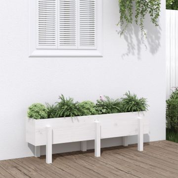 vidaXL Strat înălțat de grădină, alb, 121x30x38 cm, lemn masiv de pin