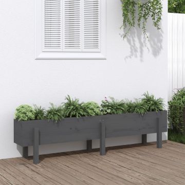 vidaXL Strat înălțat de grădină, gri, 160x30x38 cm, lemn masiv de pin