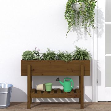 vidaXL Strat înălțat de grădină maro miere 101x30x69 cm lemn masiv pin