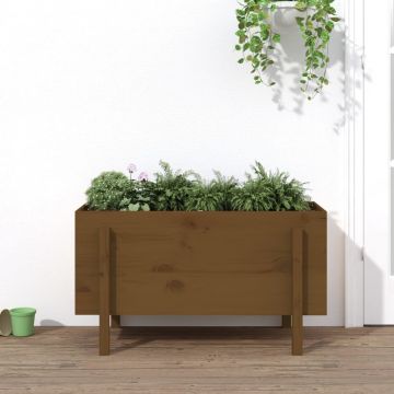 vidaXL Strat înălțat de grădină maro miere 101x50x57 cm lemn masiv pin